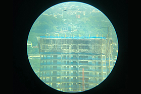 Imagem da seção nosso trabalho